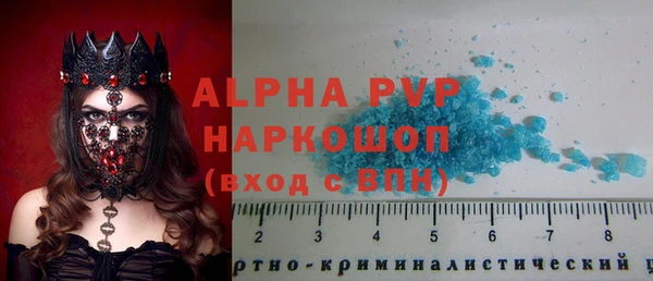 шишки Алзамай