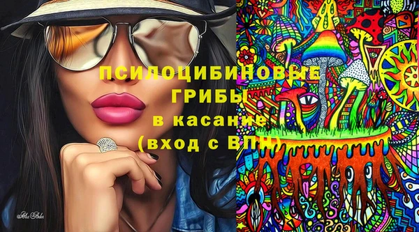 spice Алексин