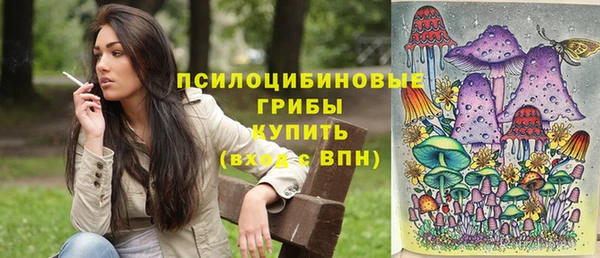 spice Алексин