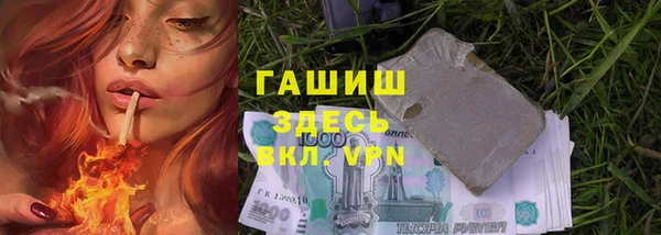 шишки Алзамай