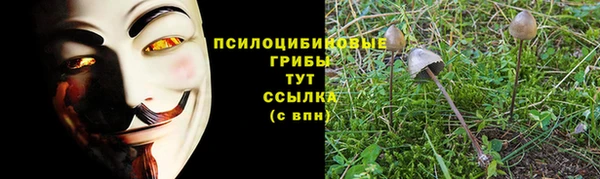 шишки Алзамай