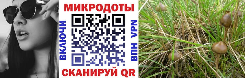 Псилоцибиновые грибы мухоморы  где найти   маркетплейс официальный сайт  Уржум 